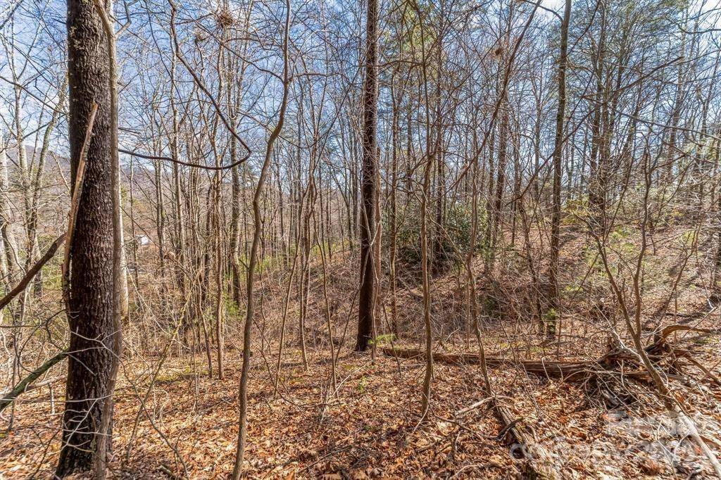99999 Parker RD, Asheville, NC 28805