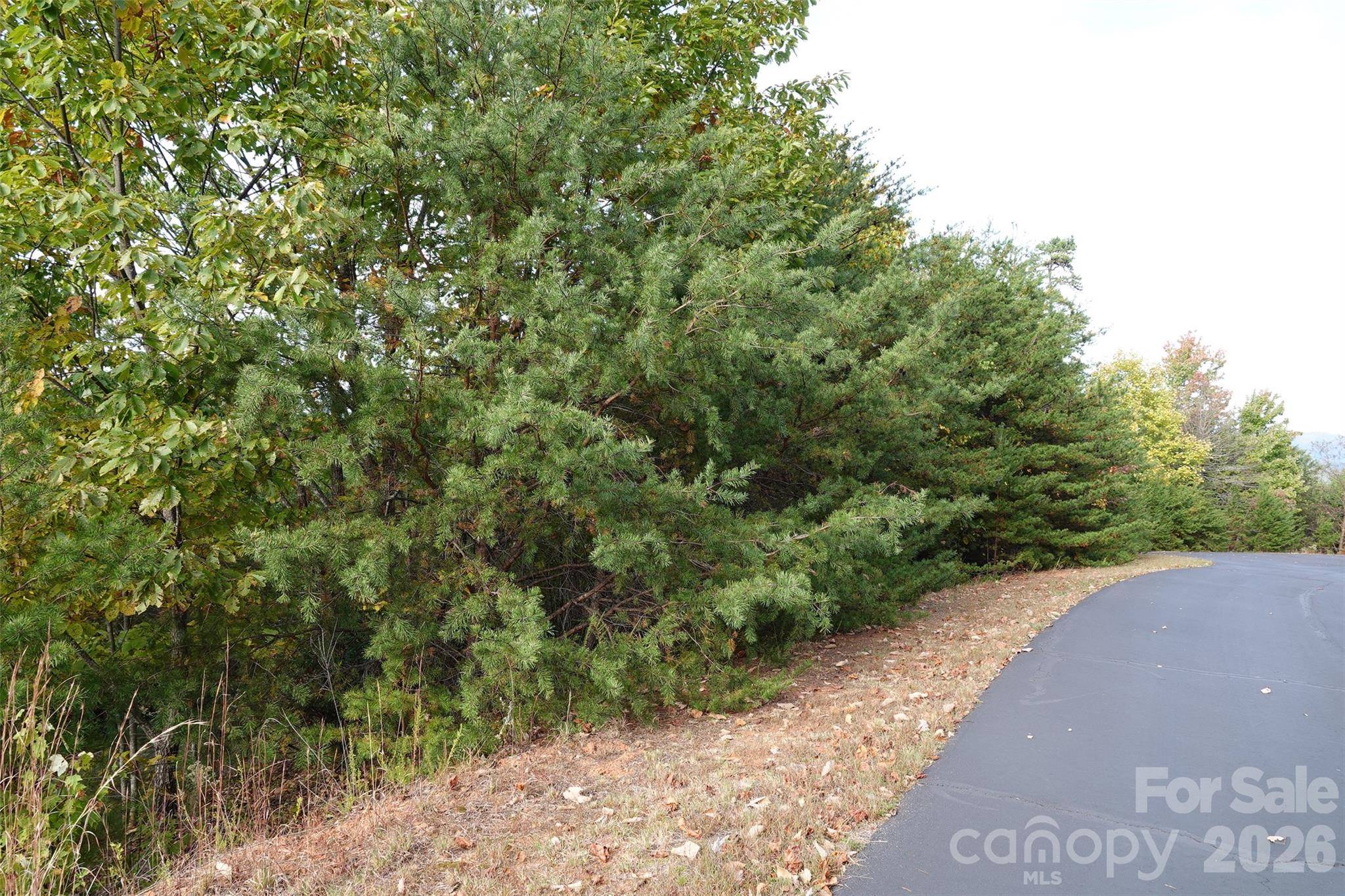 109 Ampersand TRL, Bostic, NC 28018