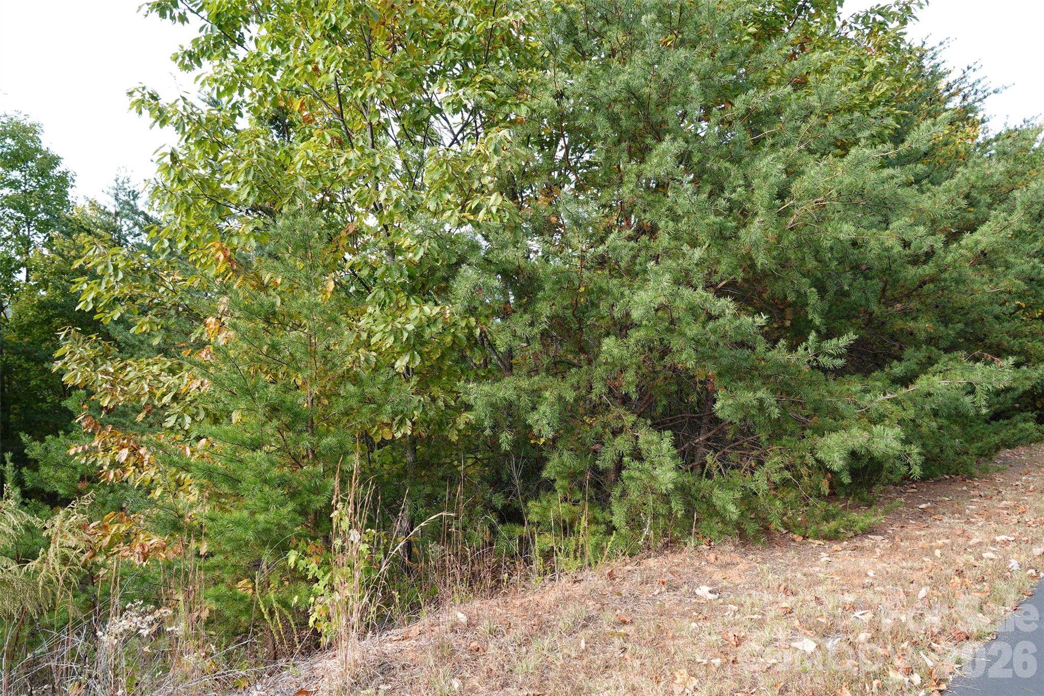 109 Ampersand TRL, Bostic, NC 28018