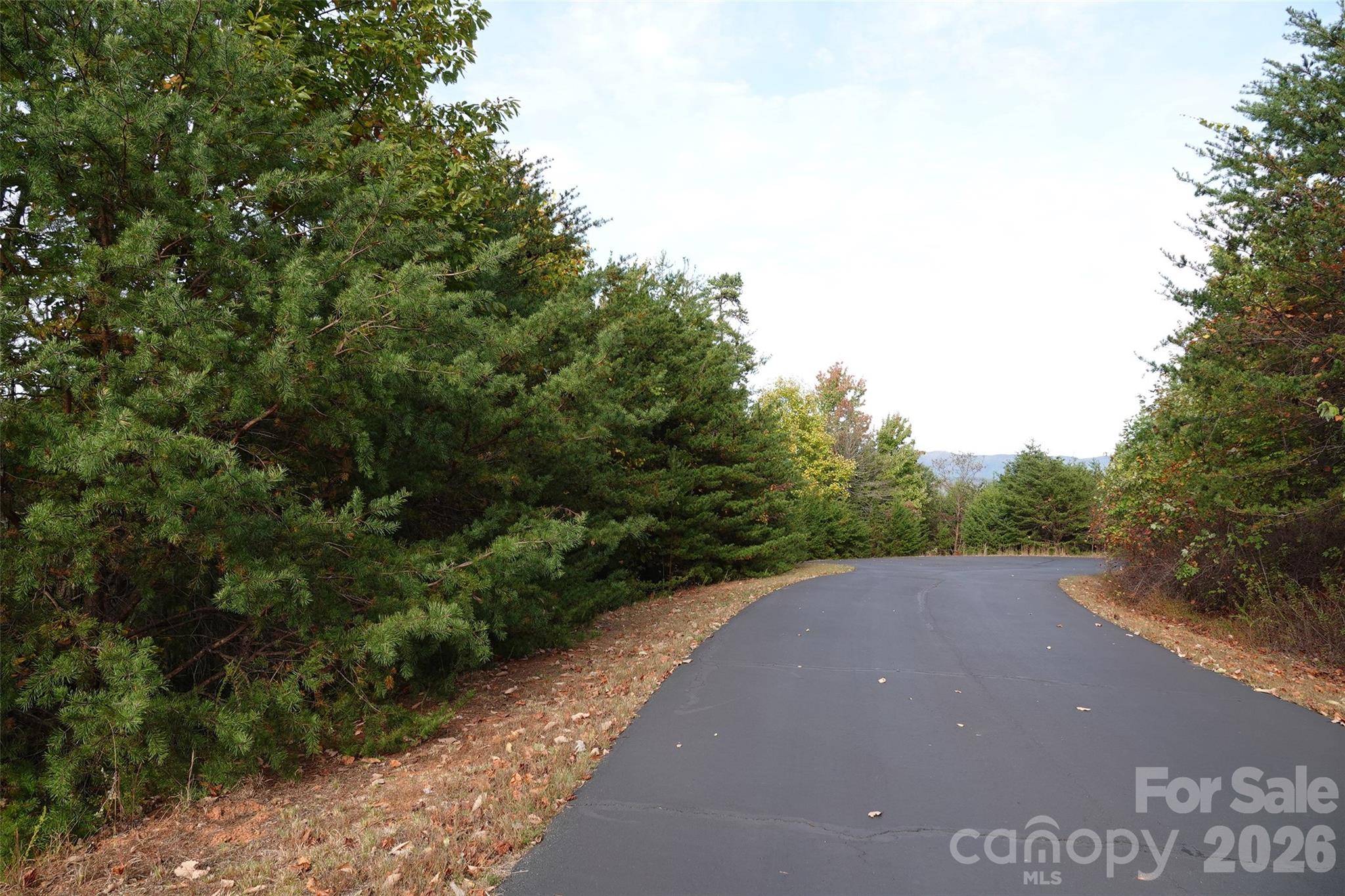 109 Ampersand TRL, Bostic, NC 28018