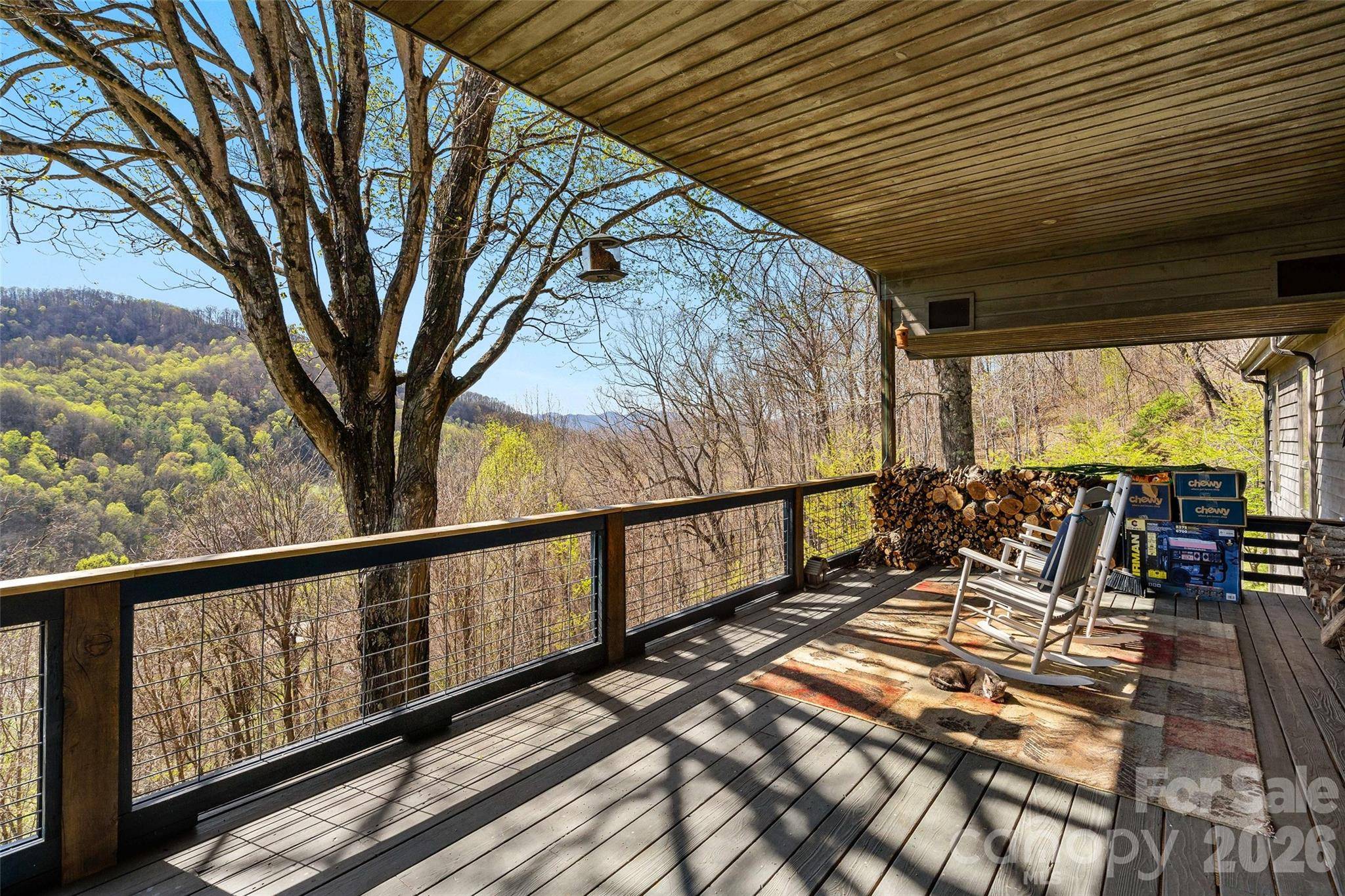 311 Pisgah Mine RD, Burnsville, NC 28714