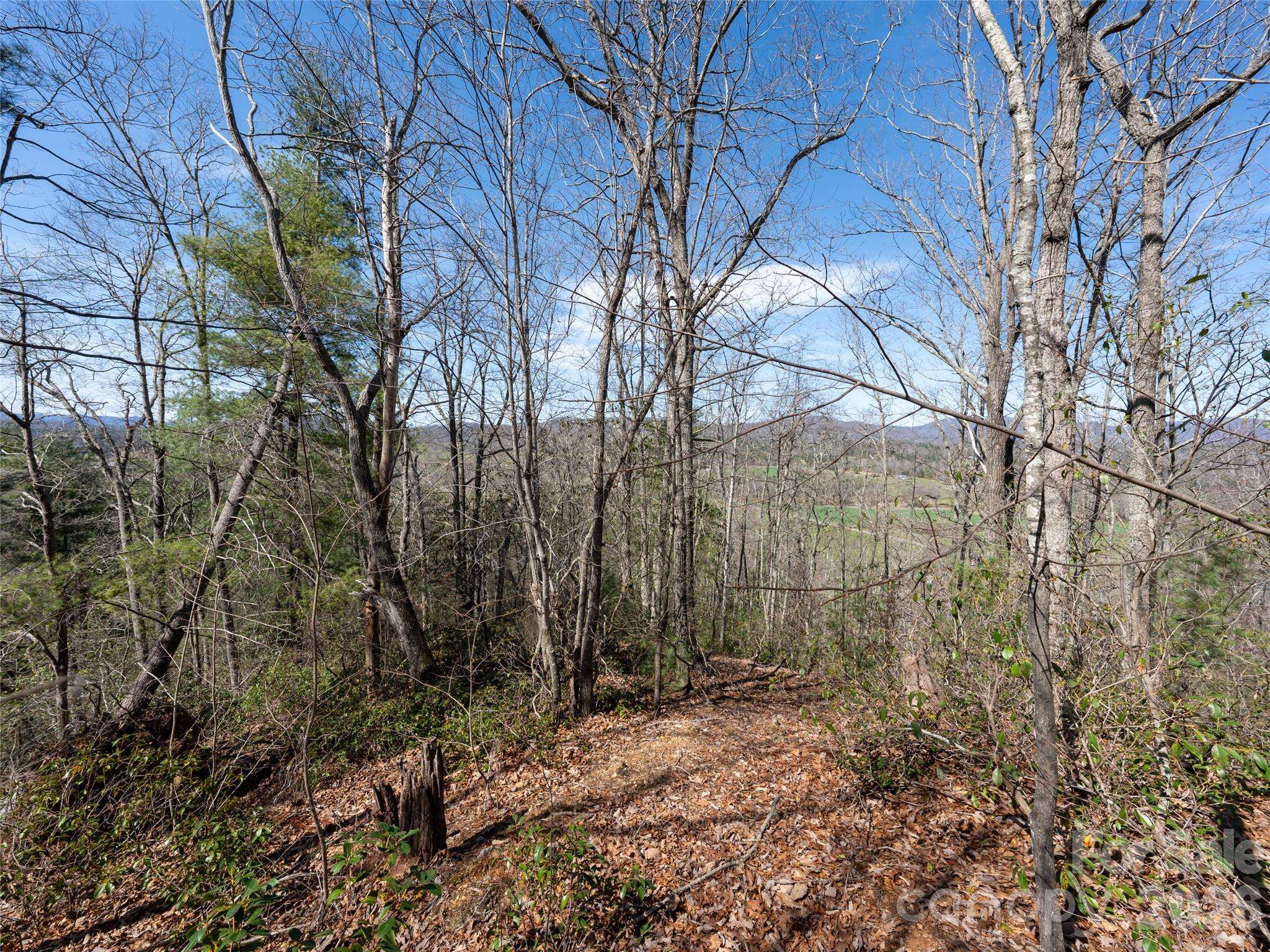 99999 Okoboji DR, Fletcher, NC 28732