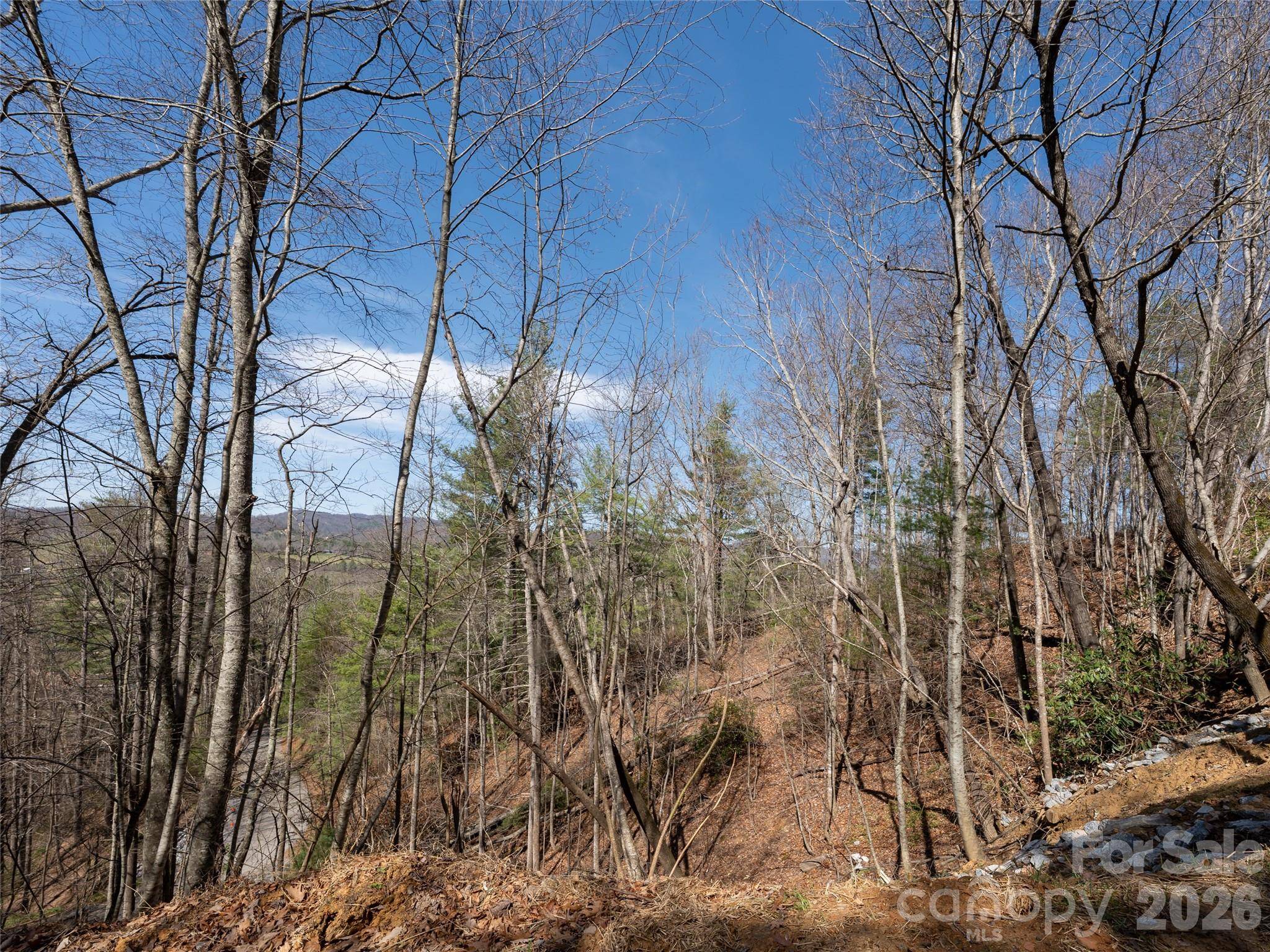 99999 Okoboji DR, Fletcher, NC 28732