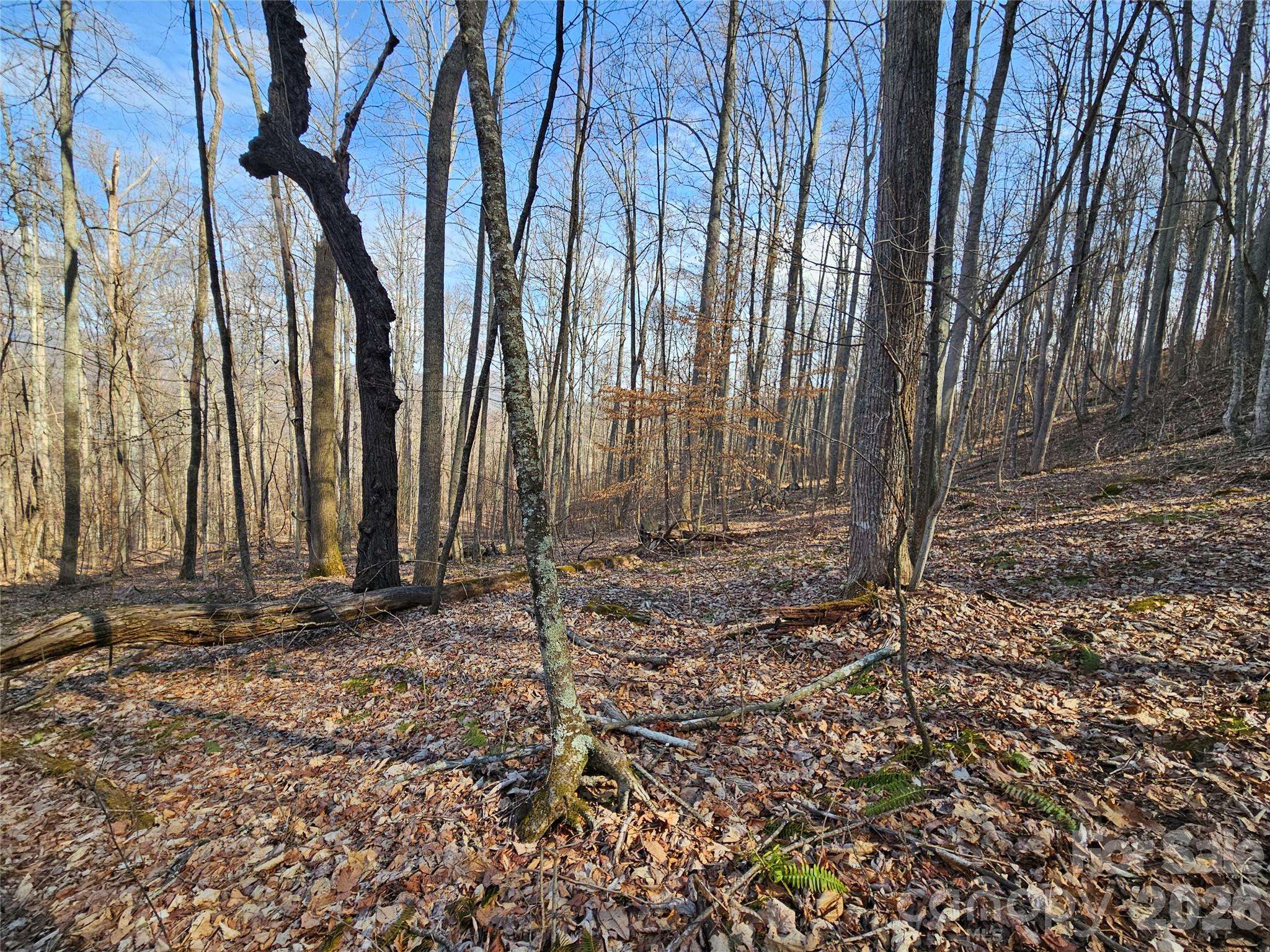 00 Red Wolf Run RD #E-7, Mars Hill, NC 28754
