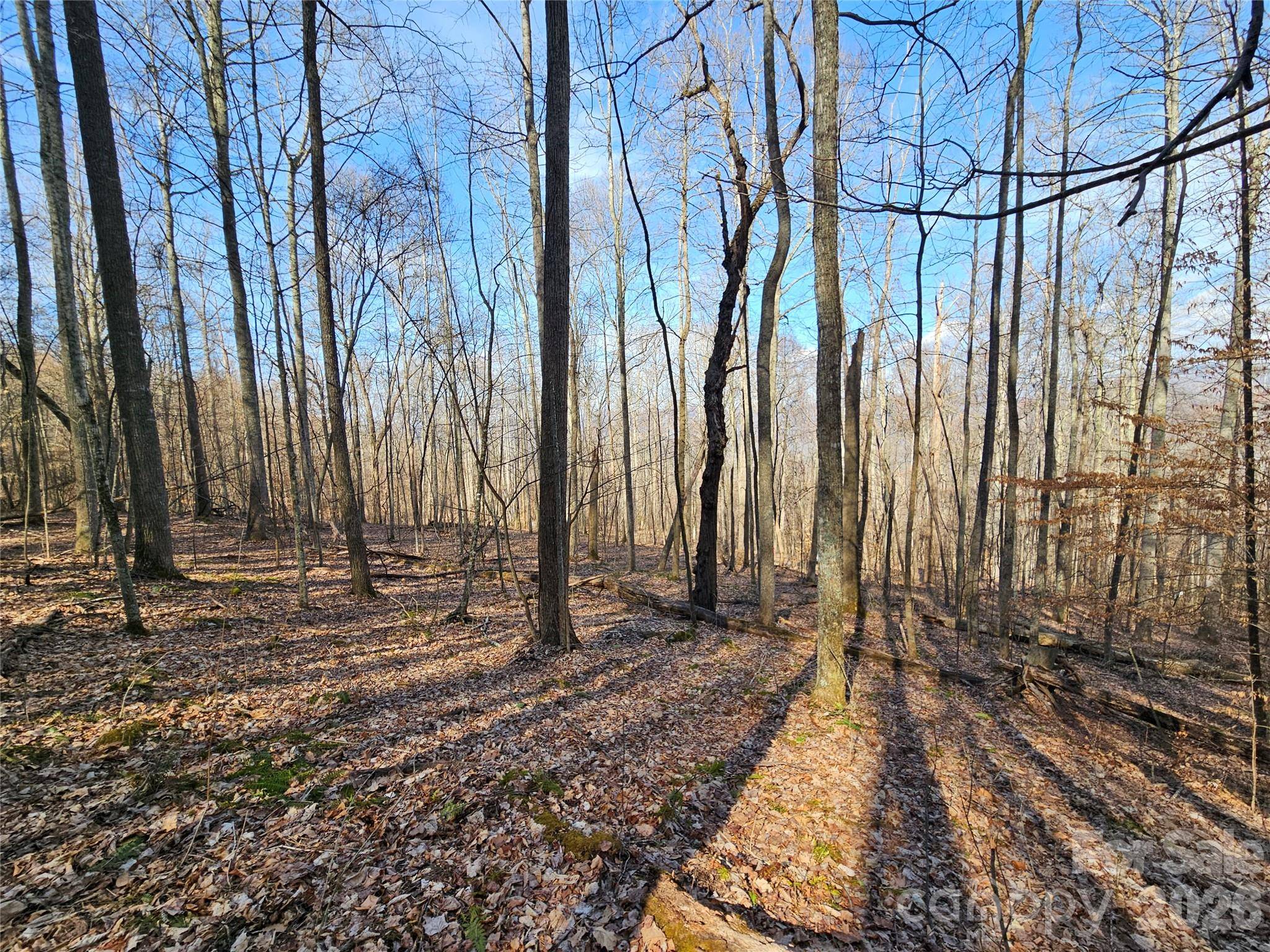 00 Red Wolf Run RD #E-7, Mars Hill, NC 28754