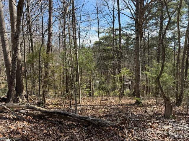 2 Frontier CT, Asheville, NC 28805