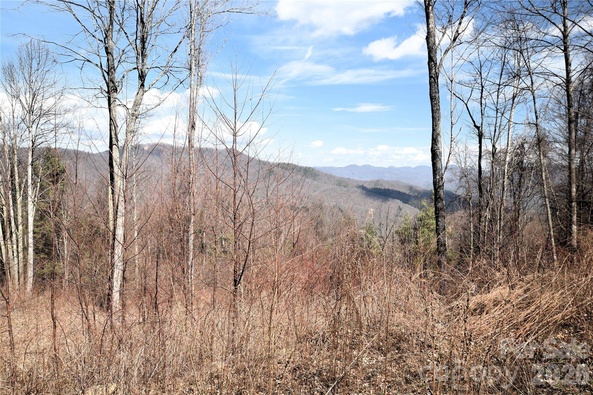 000 Curry Comb TRL #513, Waynesville, NC 28785