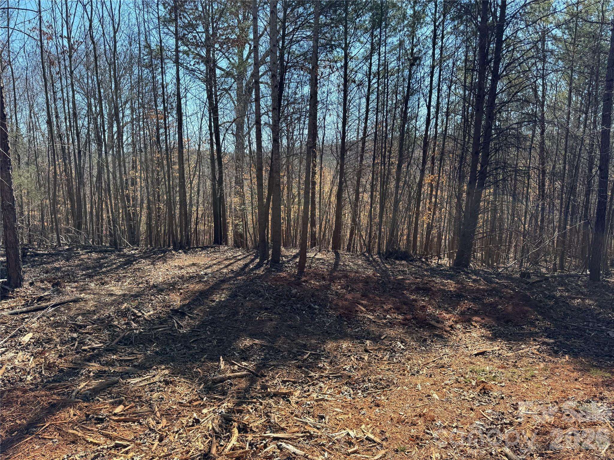 5700 Bentley Ridge DR #12, Davidson, NC 28036