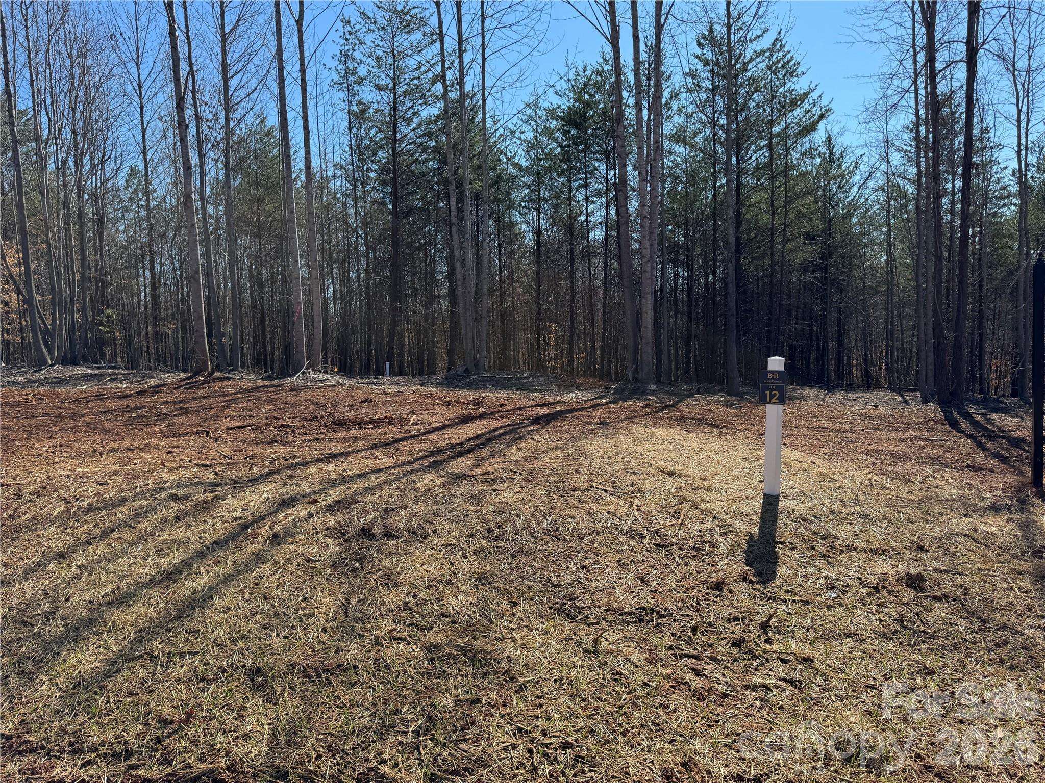 5700 Bentley Ridge DR #12, Davidson, NC 28036