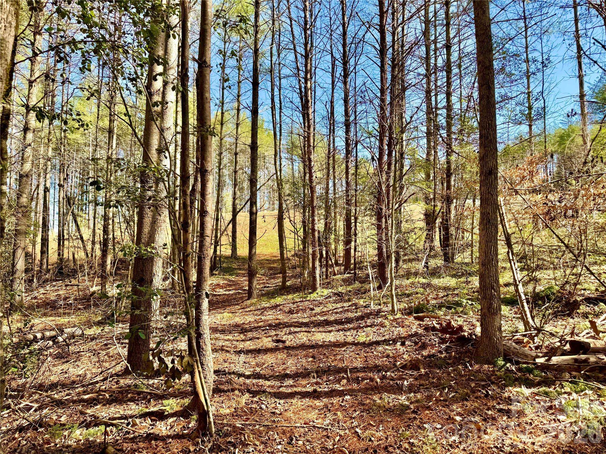 6129 Painted Ridge TRL #Lot 739, Lenoir, NC 28645