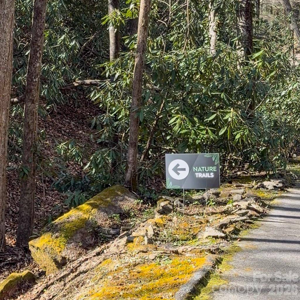 1270 Glen Cannon DR, Pisgah Forest, NC 28768
