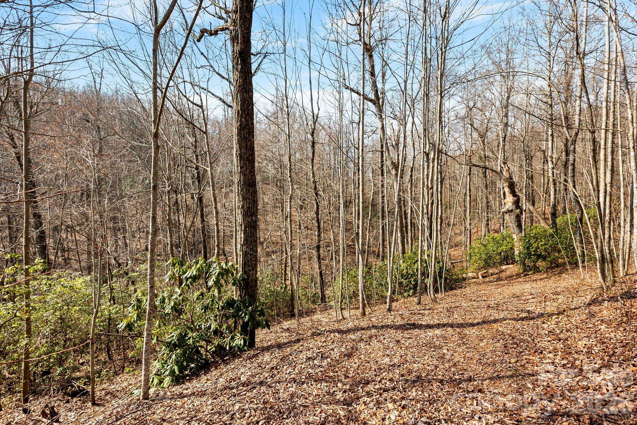 Lot 5 Laurel Mountain TRL, Black Mountain, NC 28711