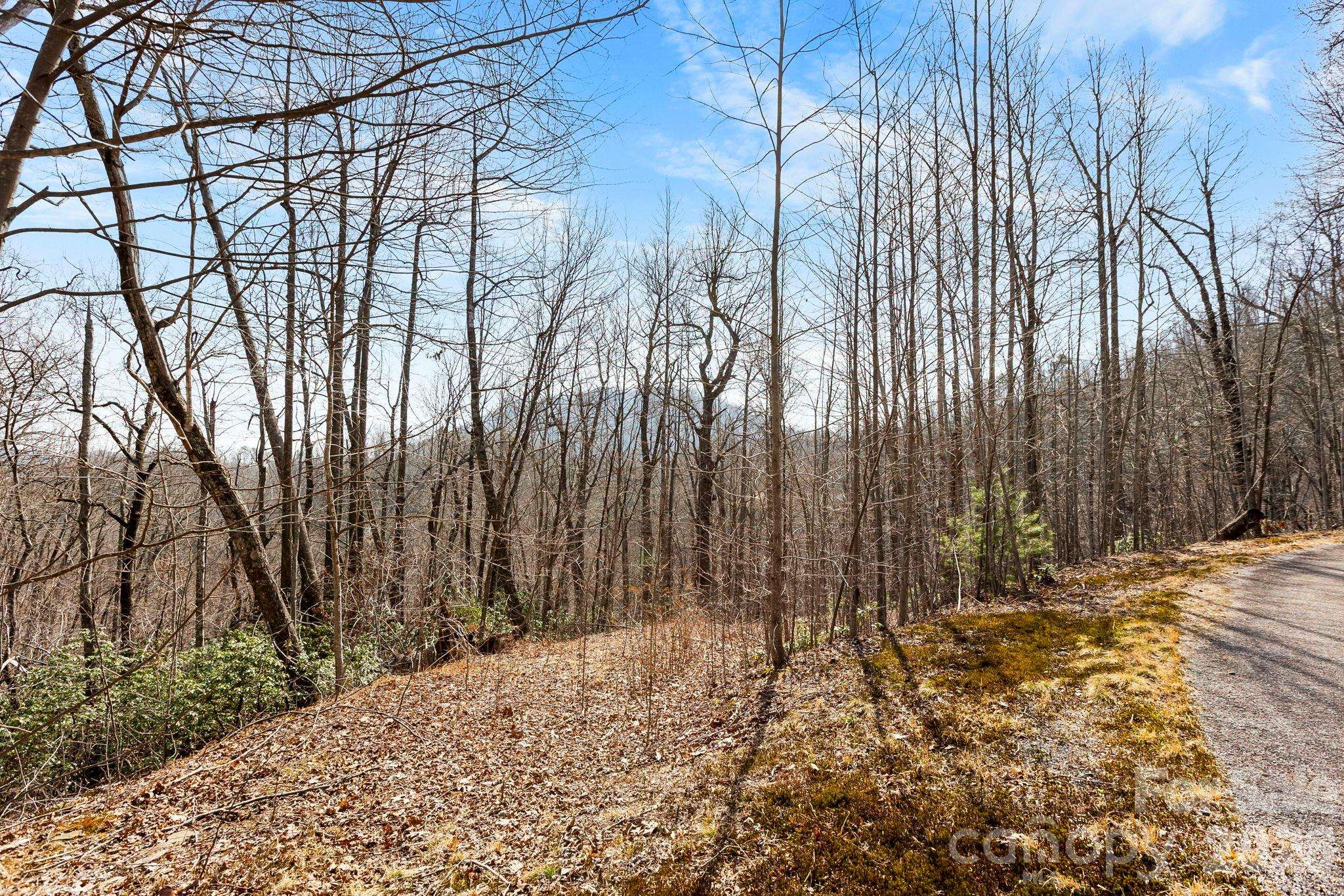 Lot 5 Laurel Mountain TRL, Black Mountain, NC 28711