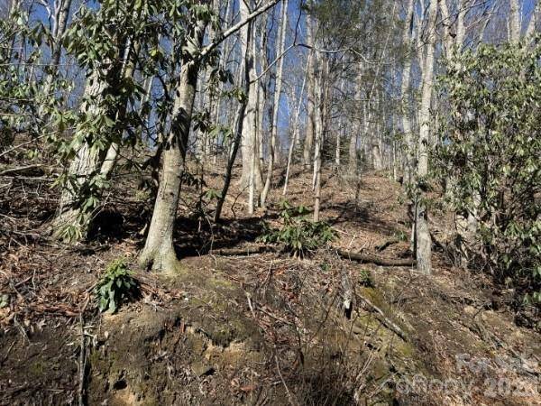 1237 Hickory Acres RD, Hendersonville, NC 28792