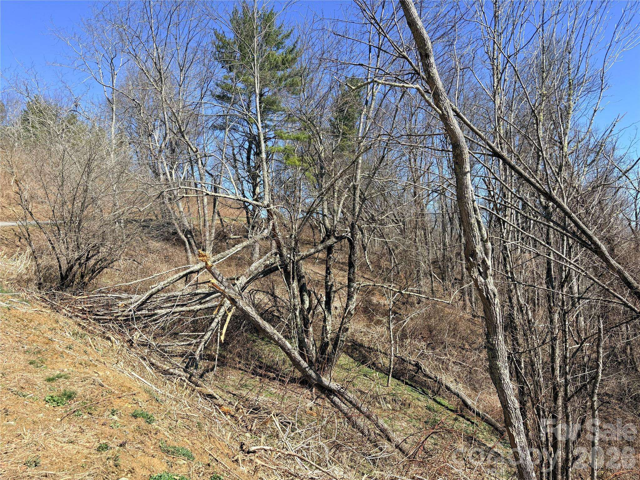 Lot 67 Linhigh DR, Linville, NC 28646