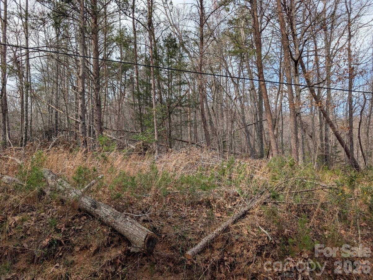 4960 Singleton DR, Morganton, NC 28655