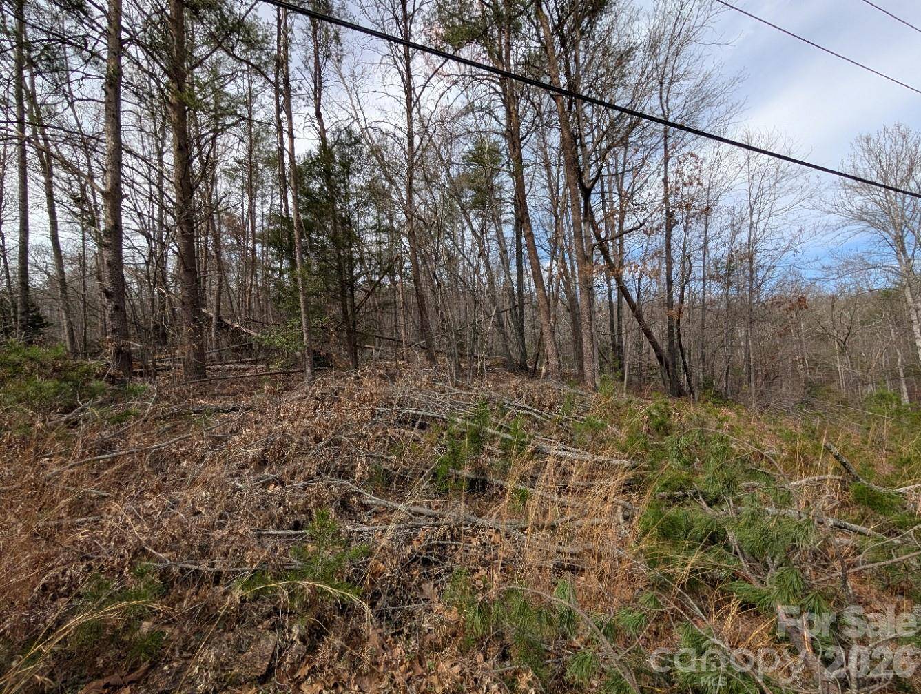 4960 Singleton DR, Morganton, NC 28655
