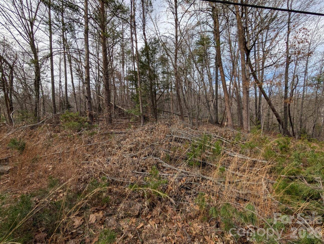 4960 Singleton DR, Morganton, NC 28655
