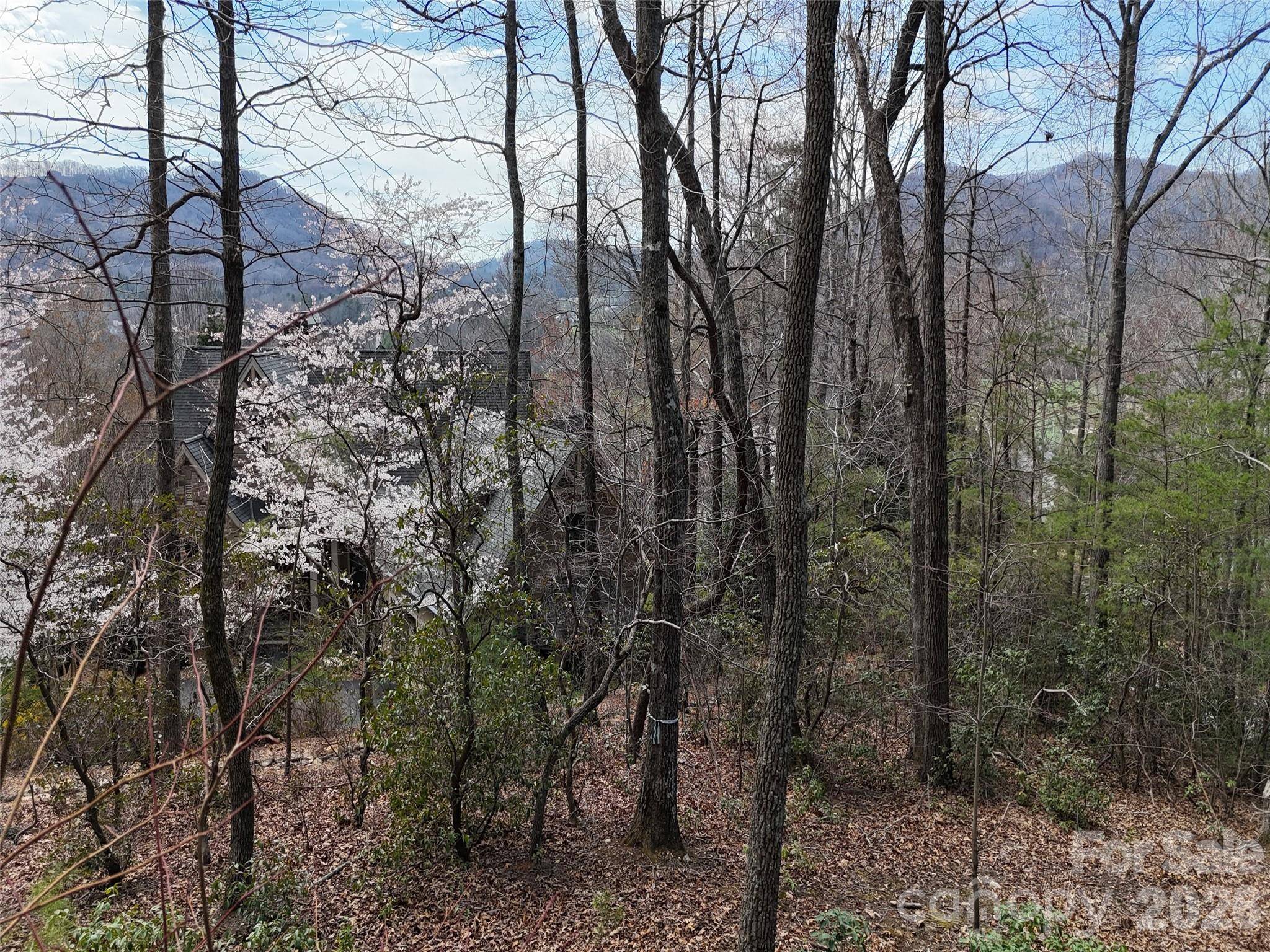 709 Craggyside LN #24, Arden, NC 28704