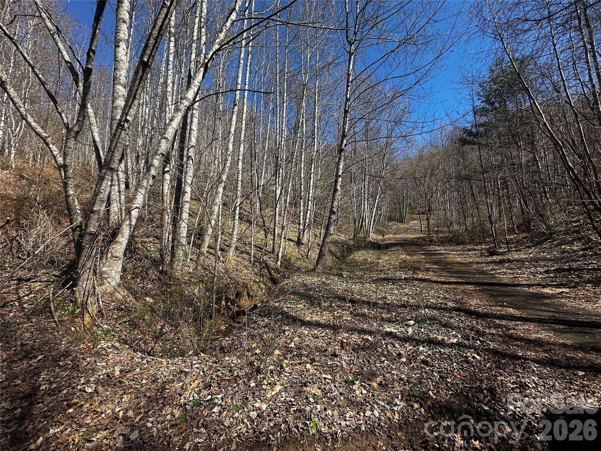 00 Grace Ridge RD, Bakersville, NC 28705