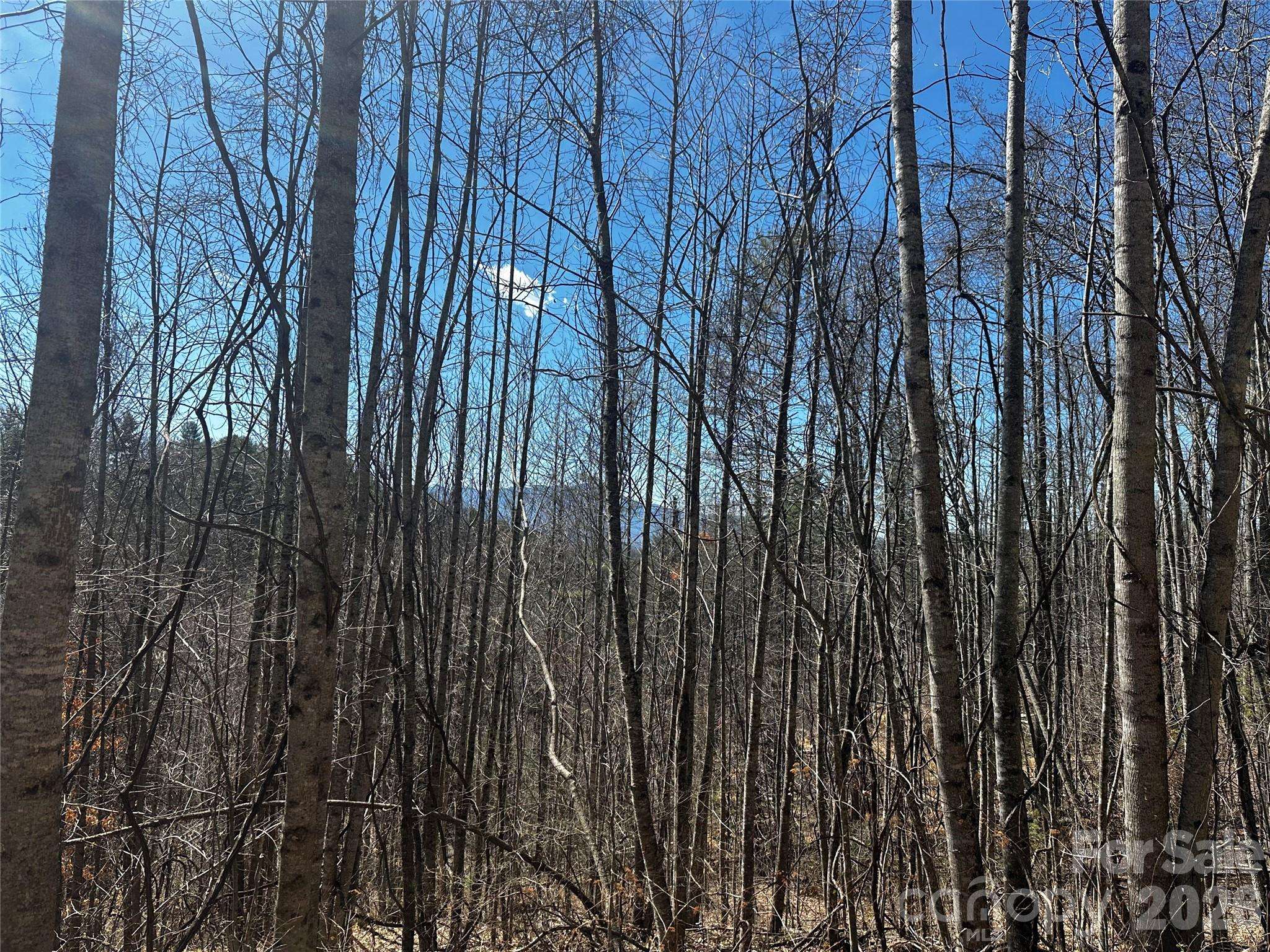 00 Grace Ridge RD, Bakersville, NC 28705