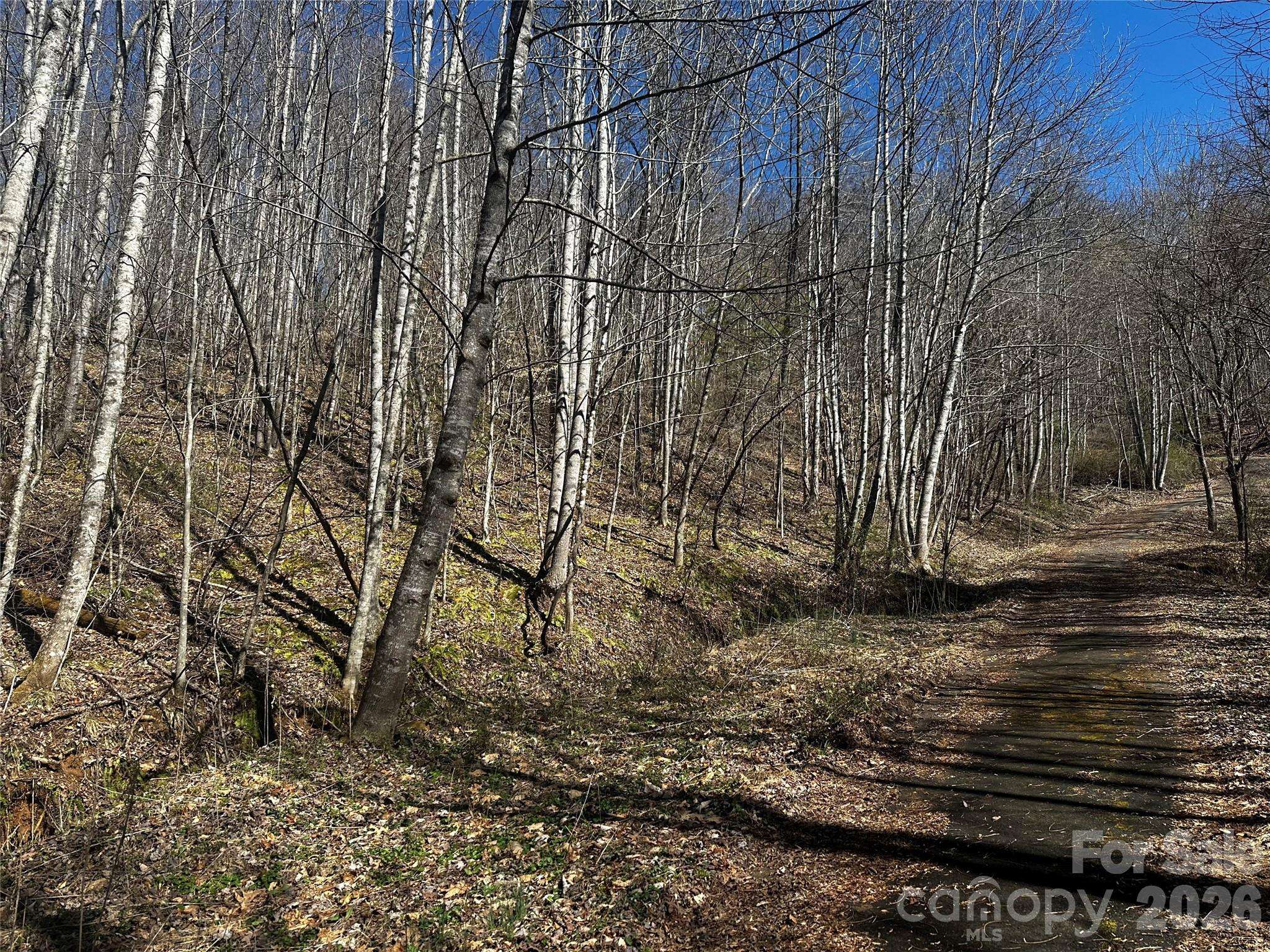 00 Grace Ridge RD, Bakersville, NC 28705
