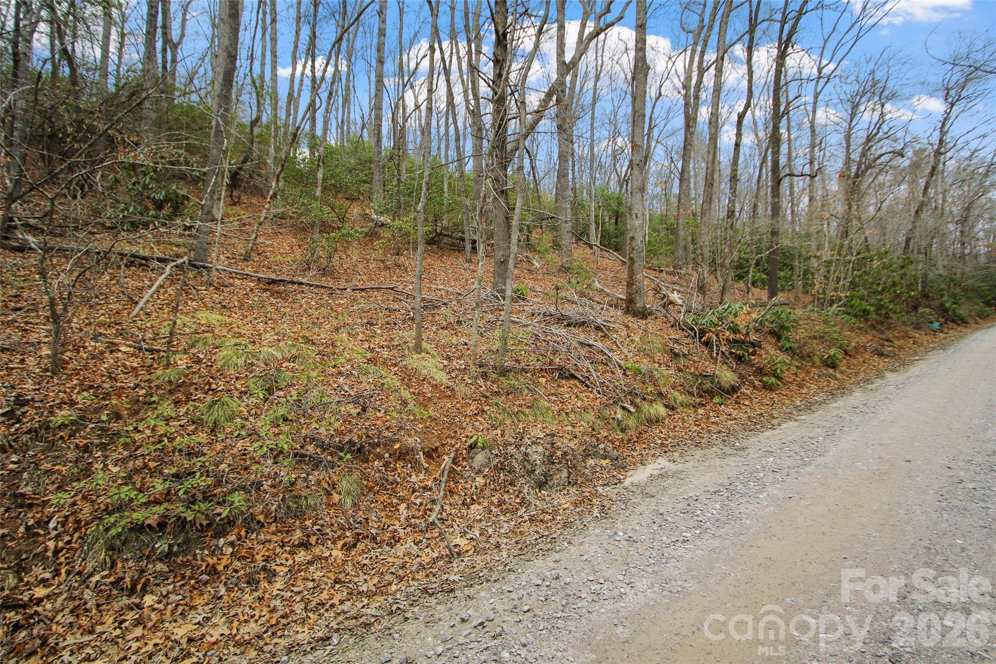 Lot 12 Patton Thicket RD, Burnsville, NC 28714