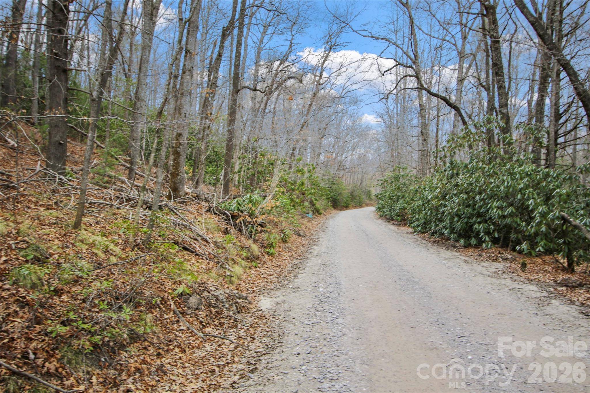 Lot 12 Patton Thicket RD, Burnsville, NC 28714