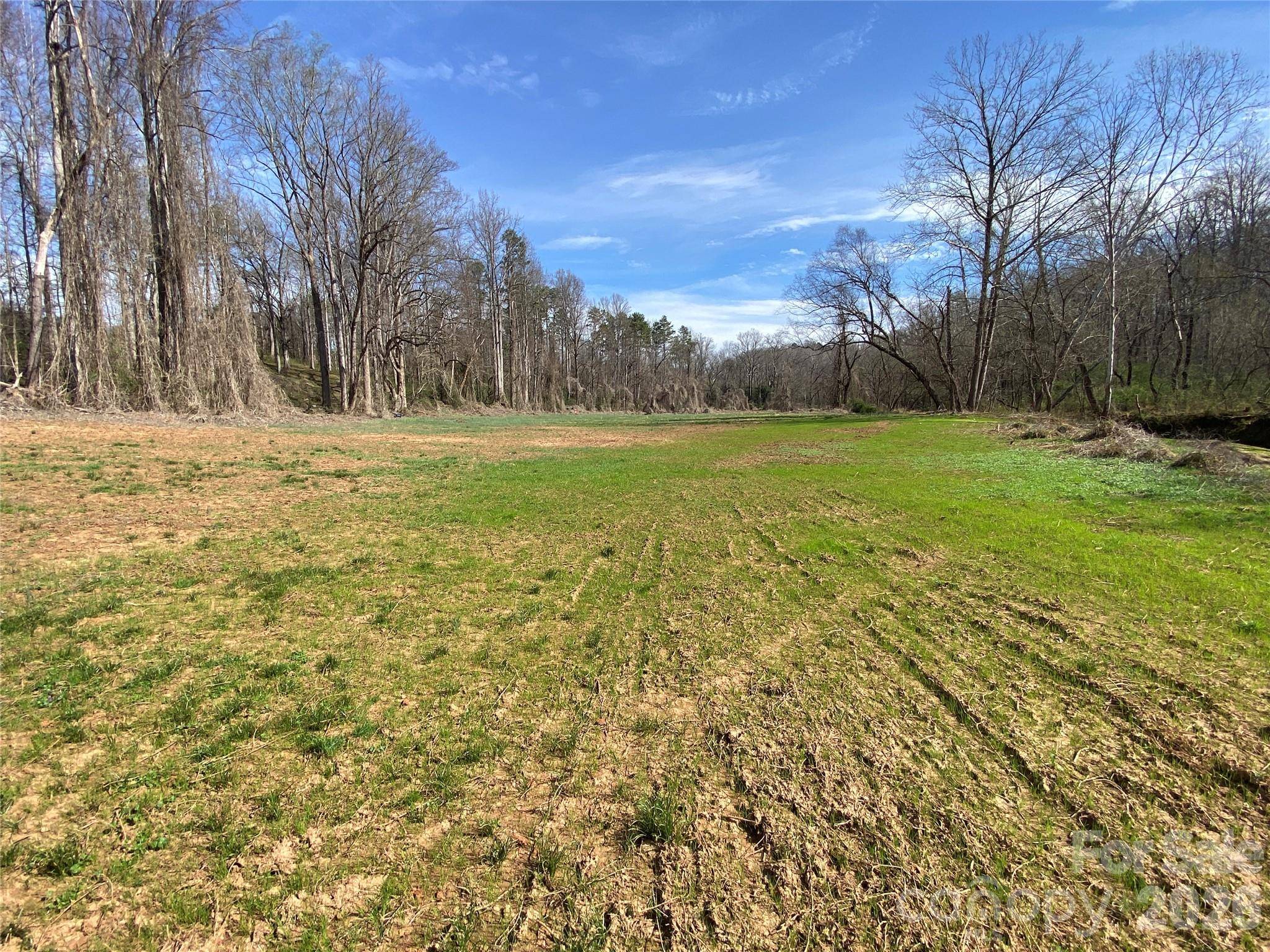 0 Coxe RD, Rutherfordton, NC 28139