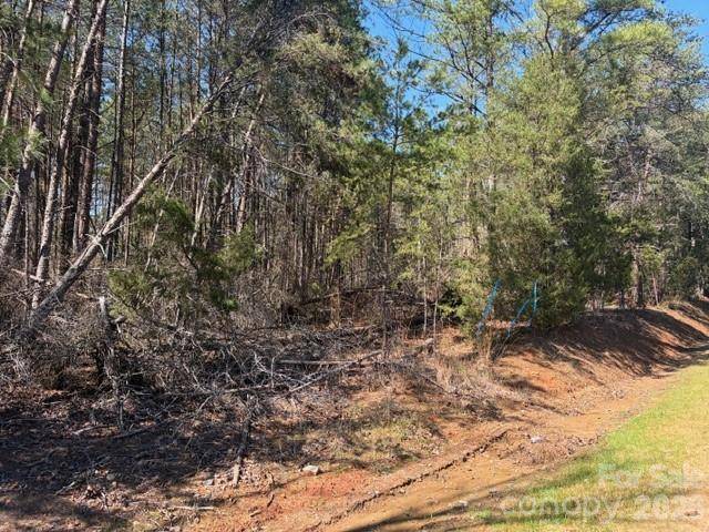 12.68 Acre 99 RD, Blair, SC 29015