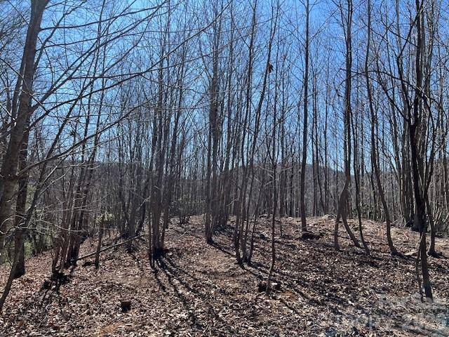 803254 Ivy RD #219, Mills River, NC 28759