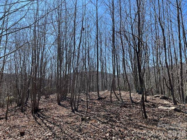 803254 Ivy RD #219, Mills River, NC 28759