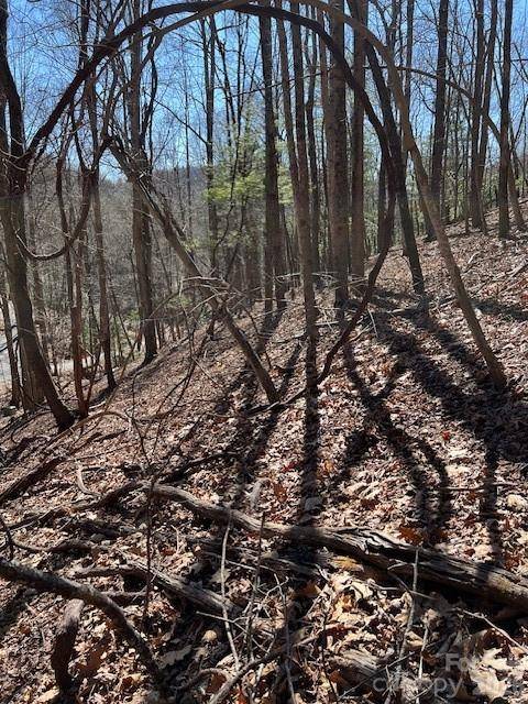 803254 Ivy RD #219, Mills River, NC 28759