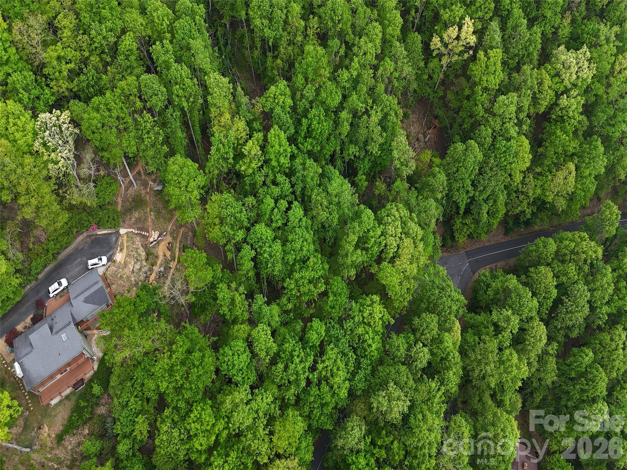 Lot #117 Honey Locust DR, Mills River, NC 28759