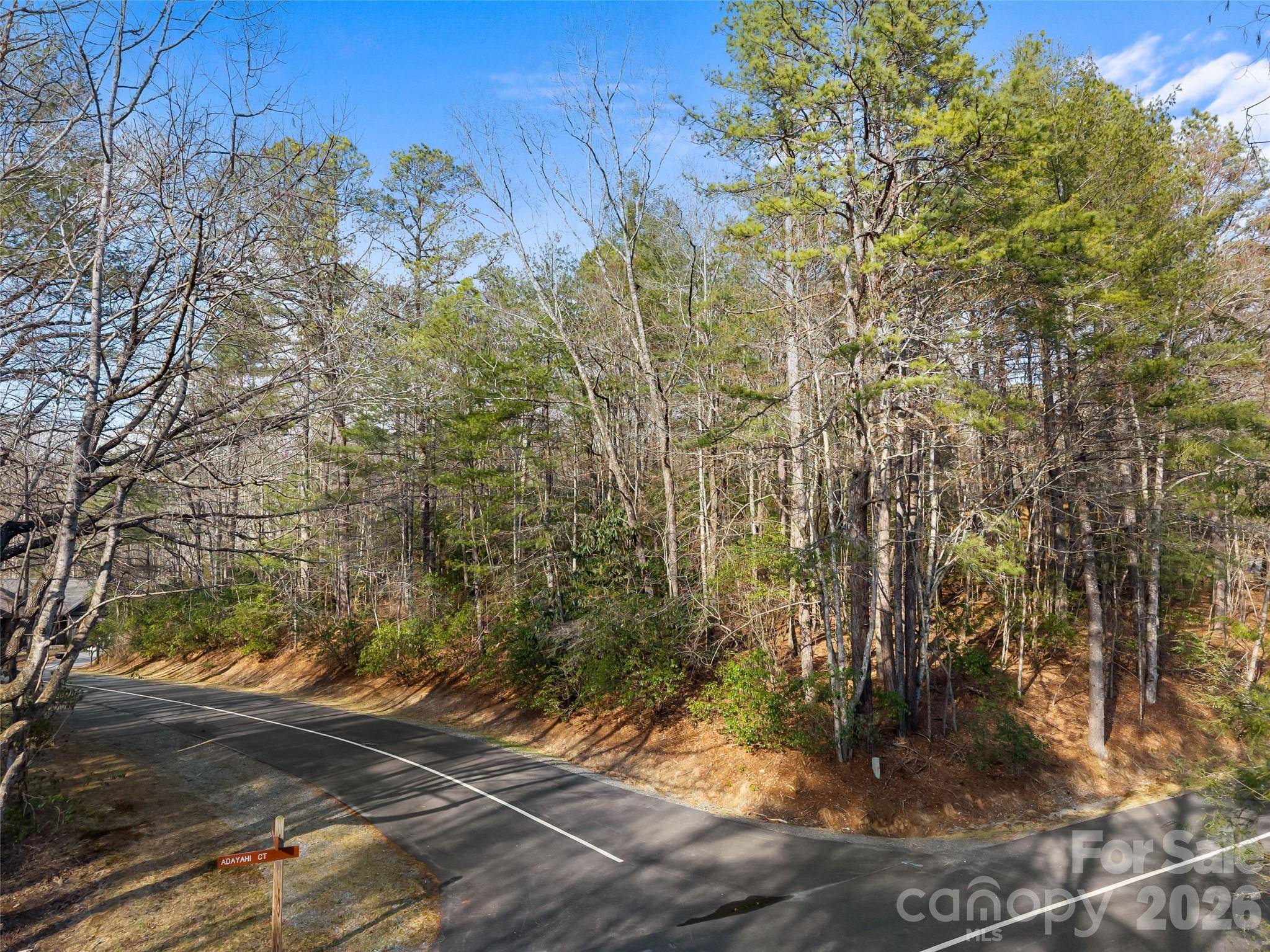 TBD Tsvwagi CT #2/25, Brevard, NC 28712