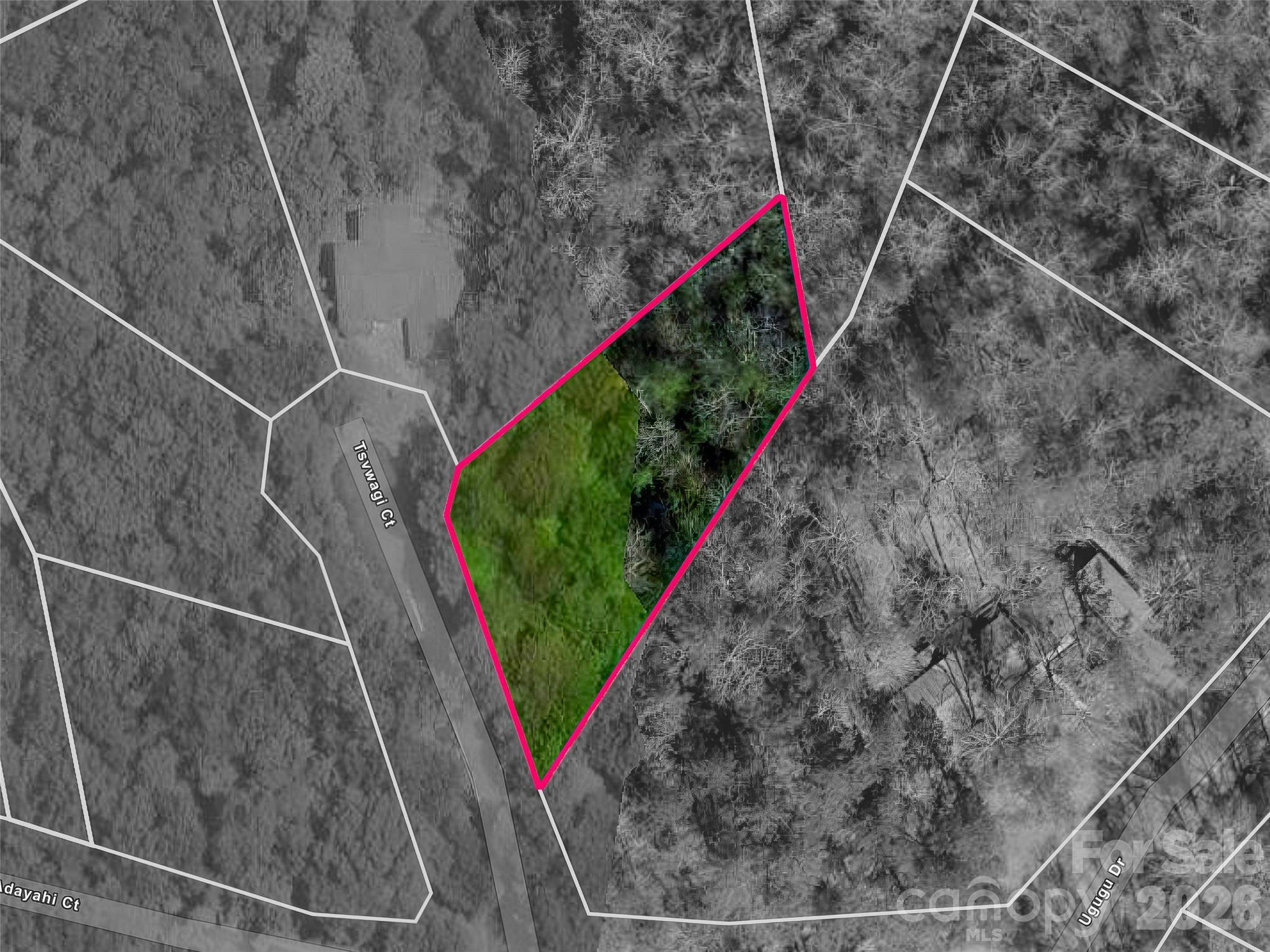 TBD Tsvwagi CT #2/25, Brevard, NC 28712
