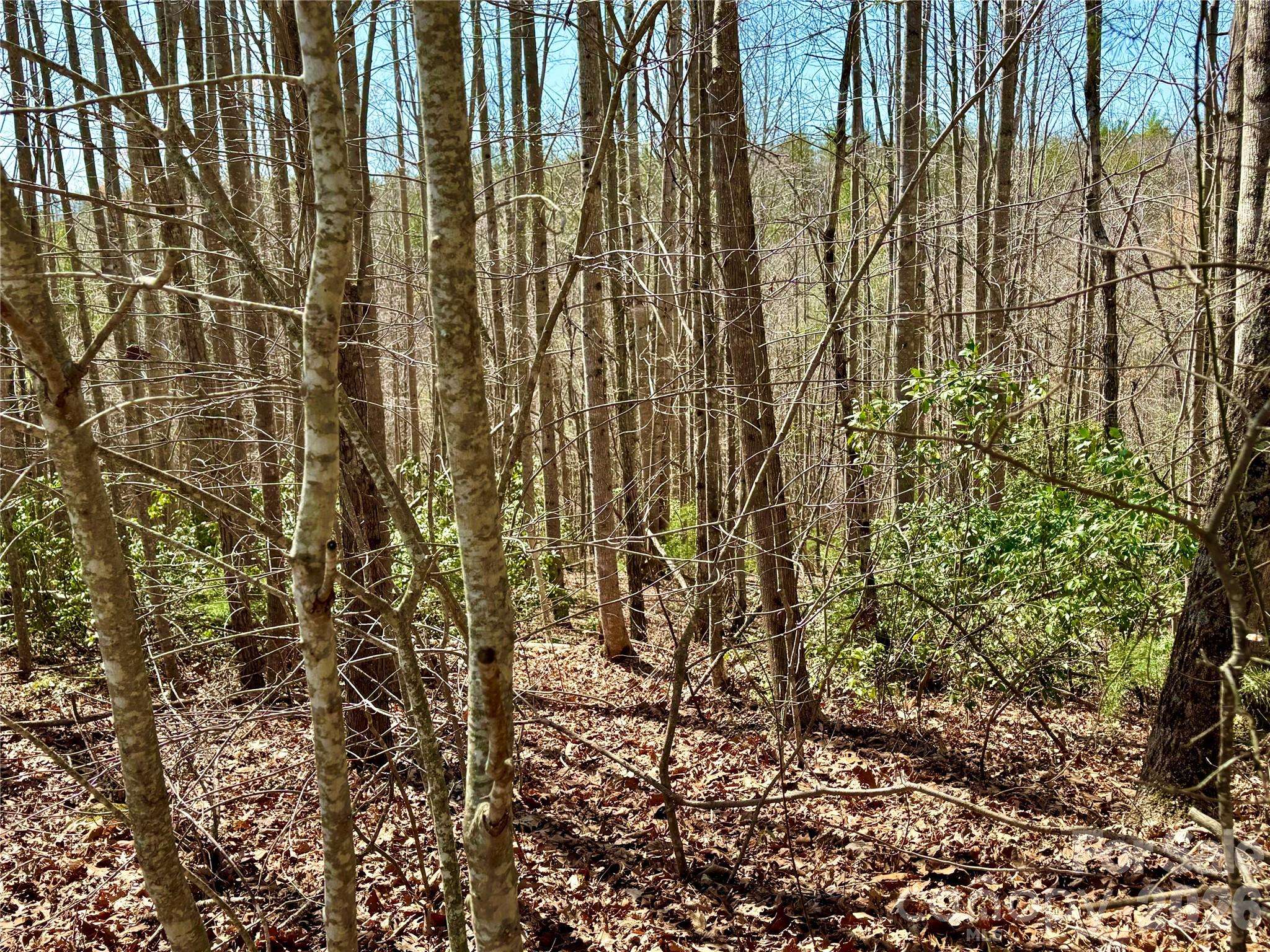 Lot 42, Round Mountain Pkwy #42, Lenoir, NC 28645