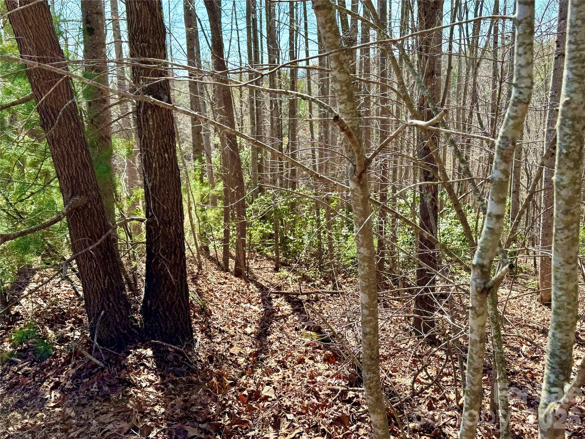 Lot 42, Round Mountain Pkwy #42, Lenoir, NC 28645