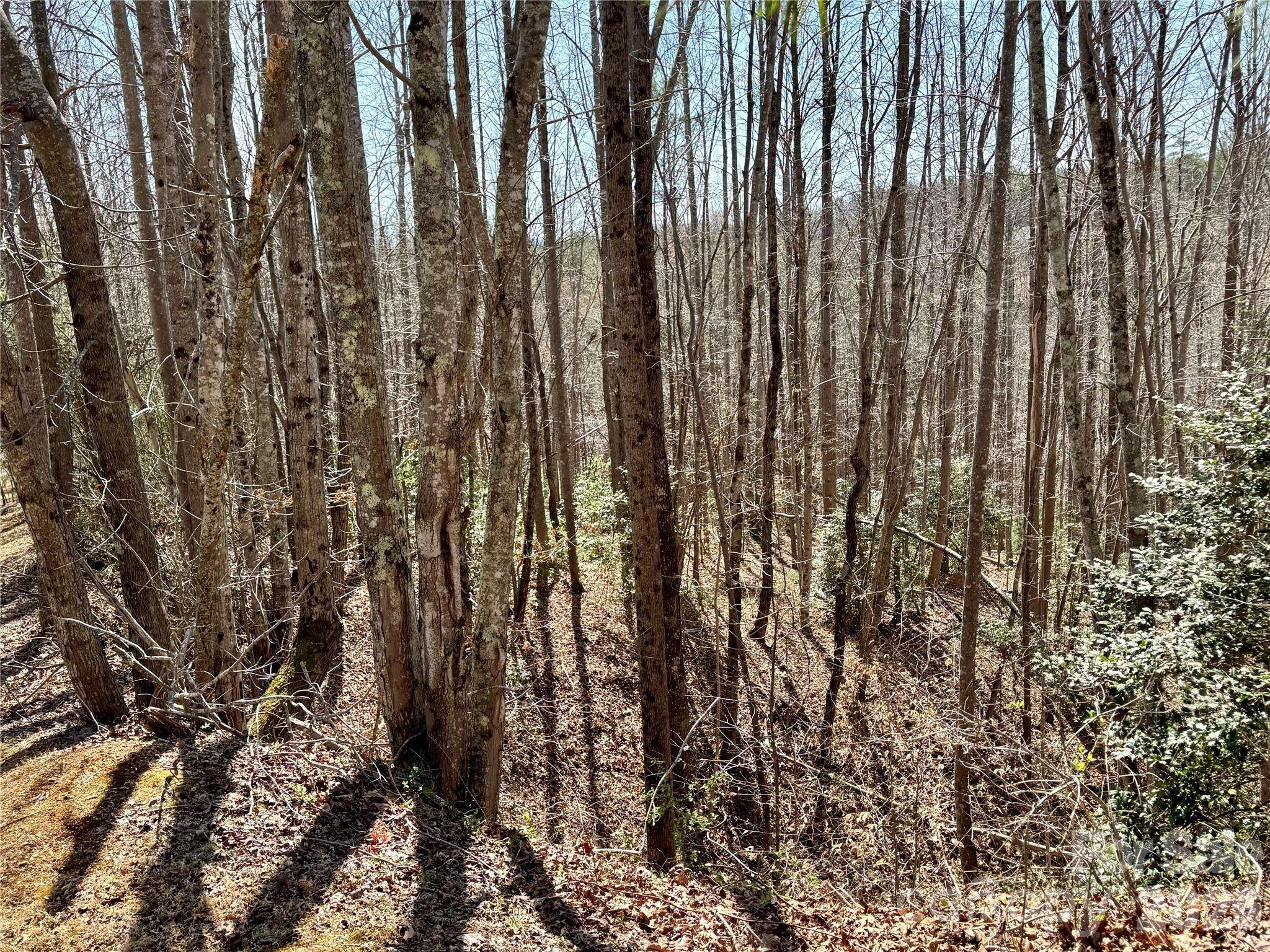 Lot 42, Round Mountain Pkwy #42, Lenoir, NC 28645