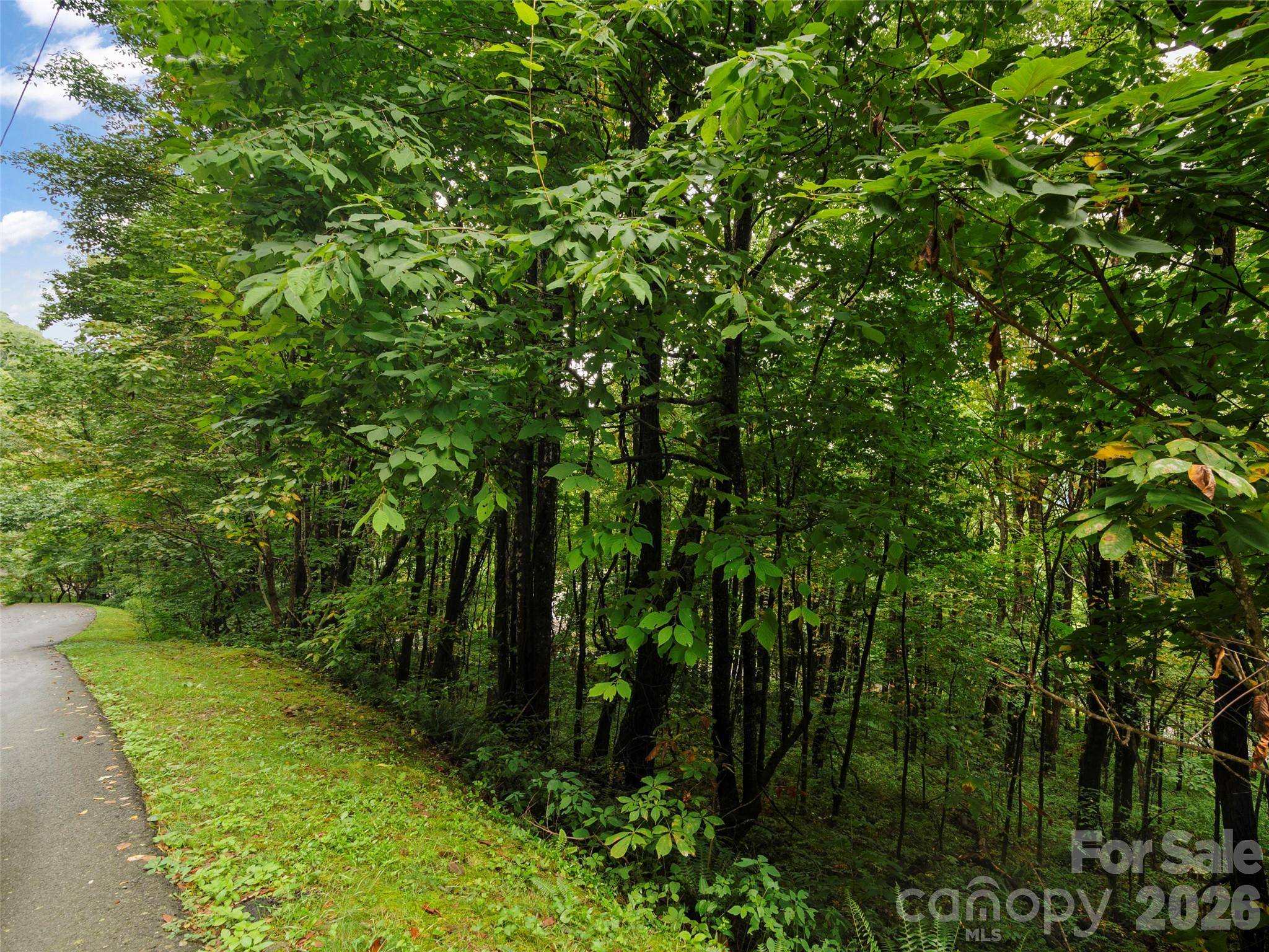 Lot 28 Jefferson LN, Waynesville, NC 28786
