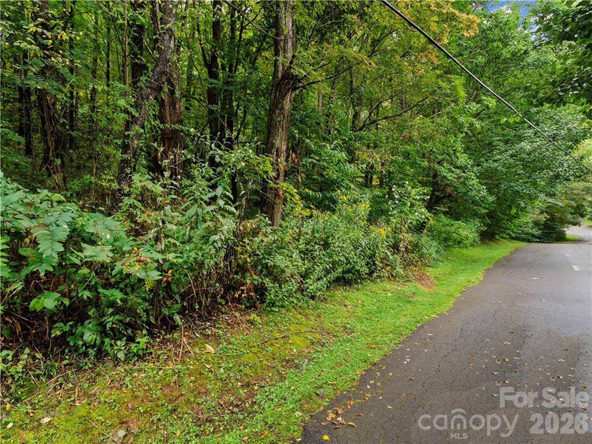 Lot 28 Jefferson LN, Waynesville, NC 28786