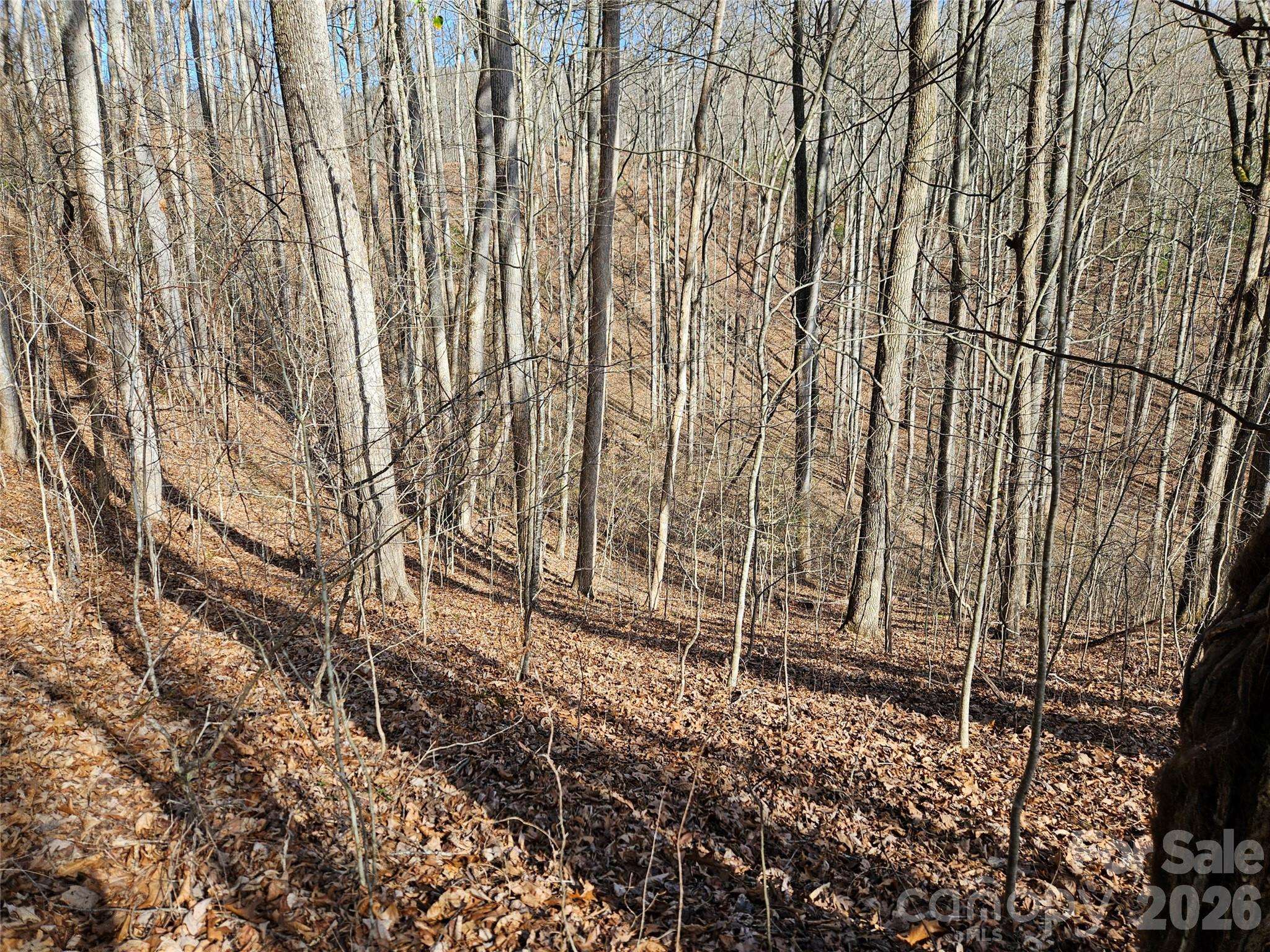 262 Si Knob RD, Cullowhee, NC 28723