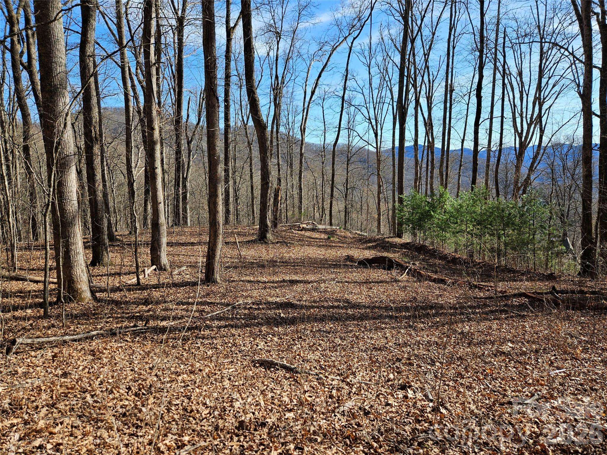 262 Si Knob RD, Cullowhee, NC 28723