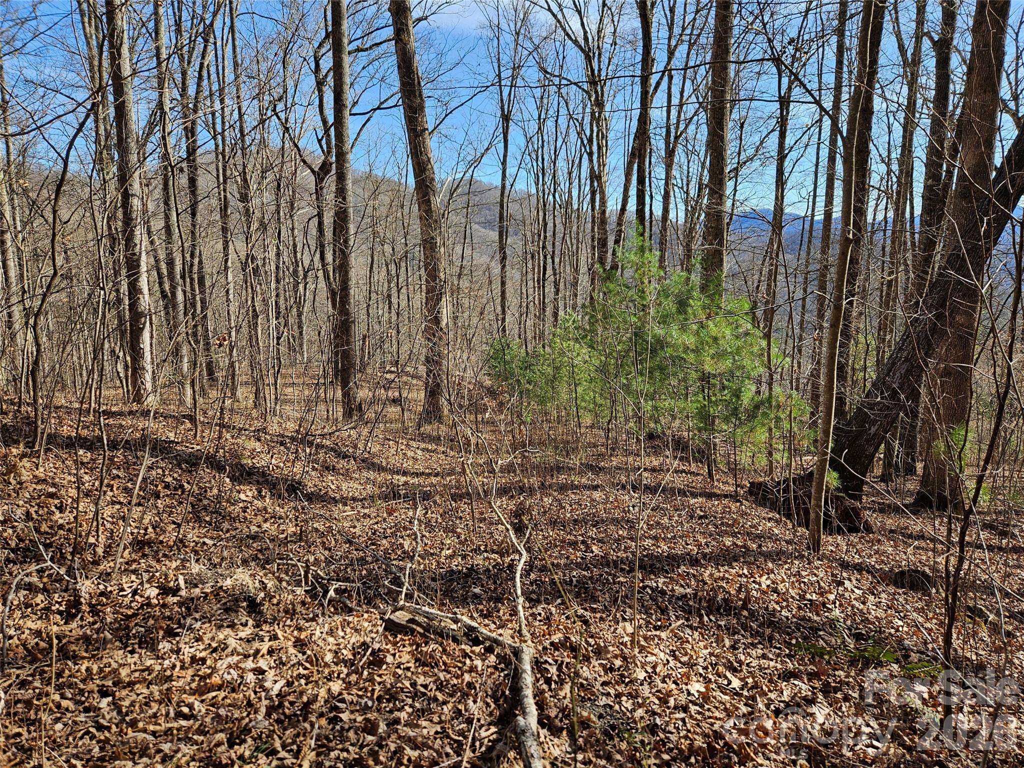 262 Si Knob RD, Cullowhee, NC 28723