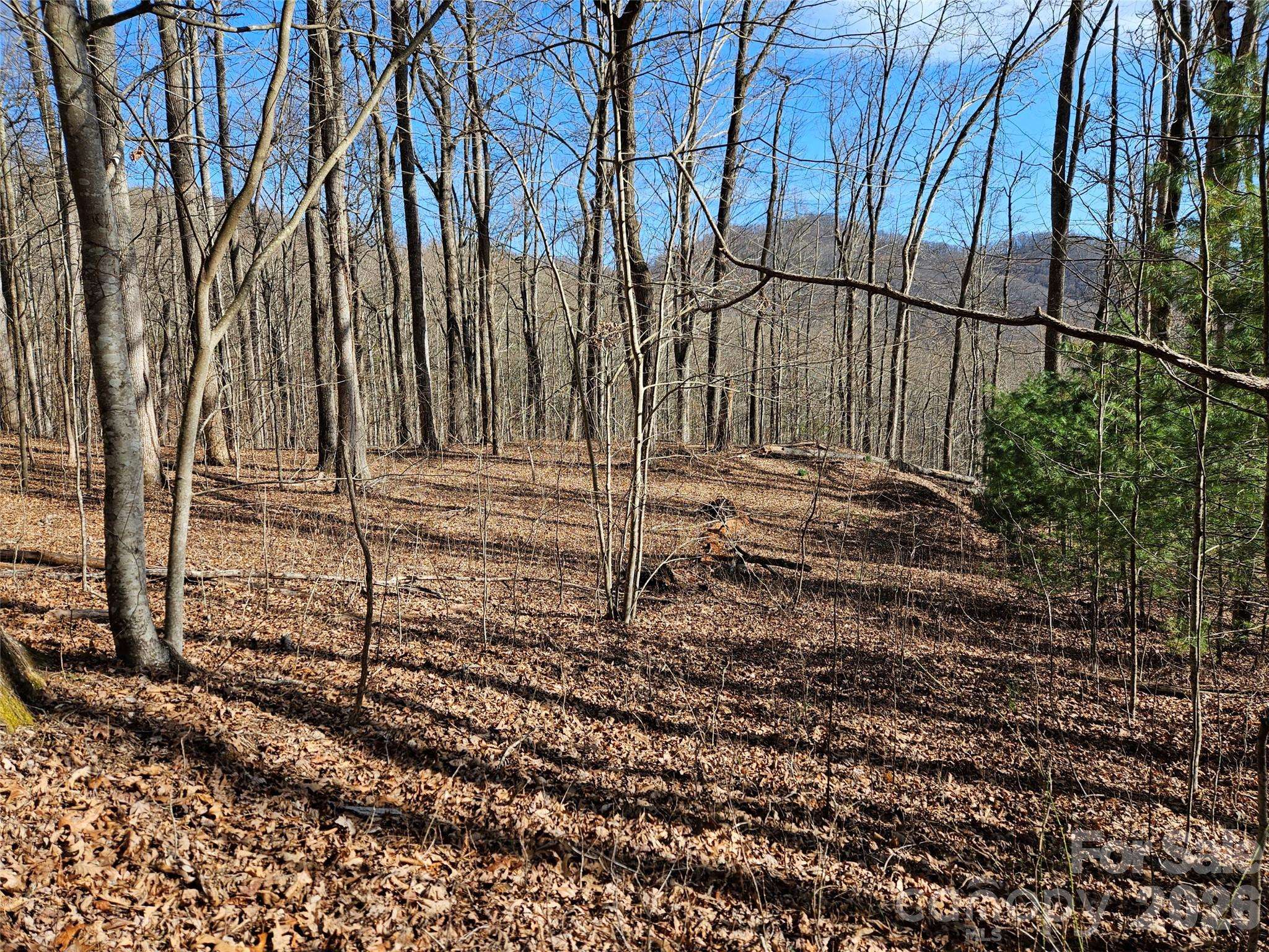 262 Si Knob RD, Cullowhee, NC 28723