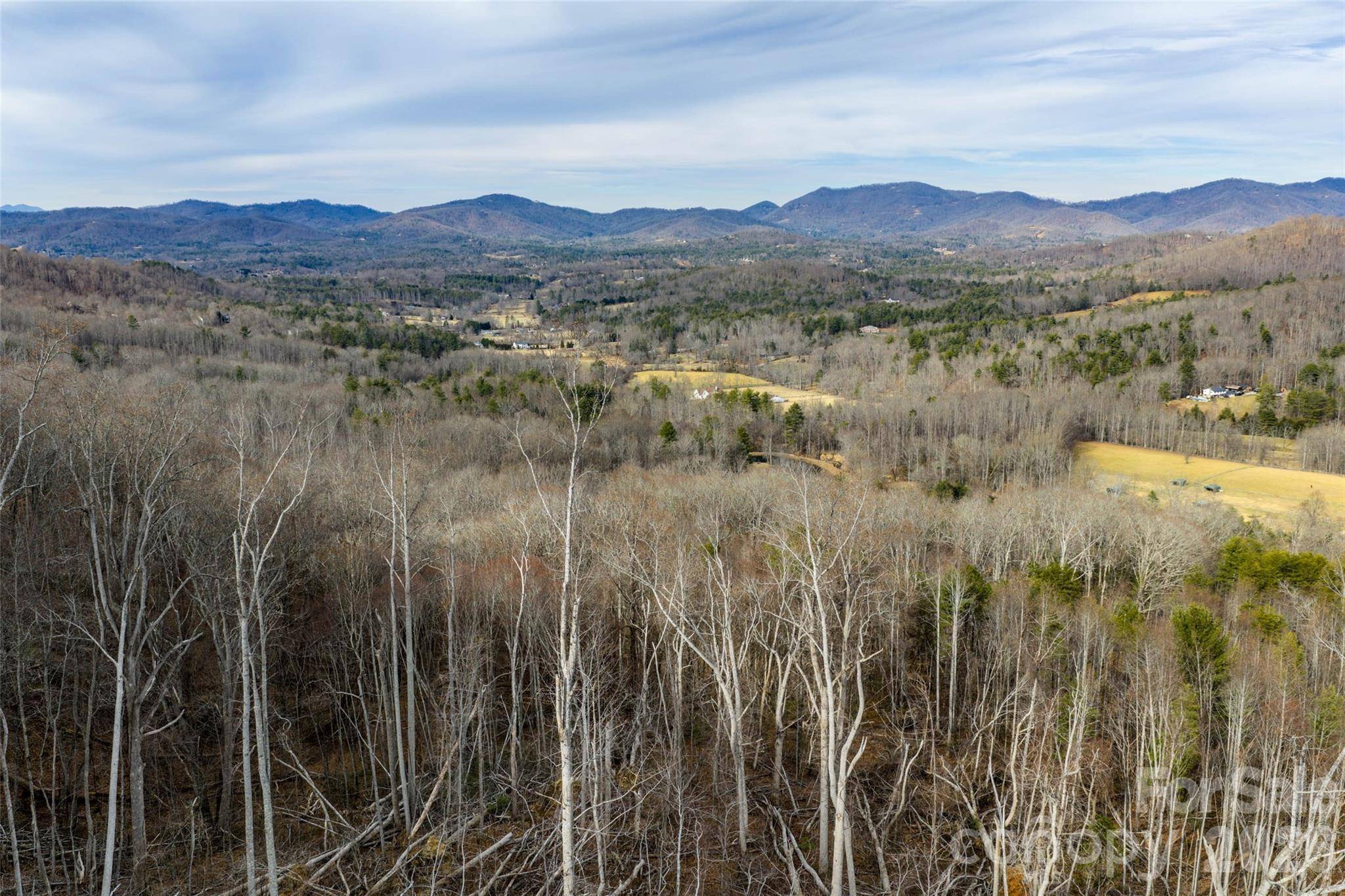 99999 Brush Creek CIR, Fairview, NC 28730