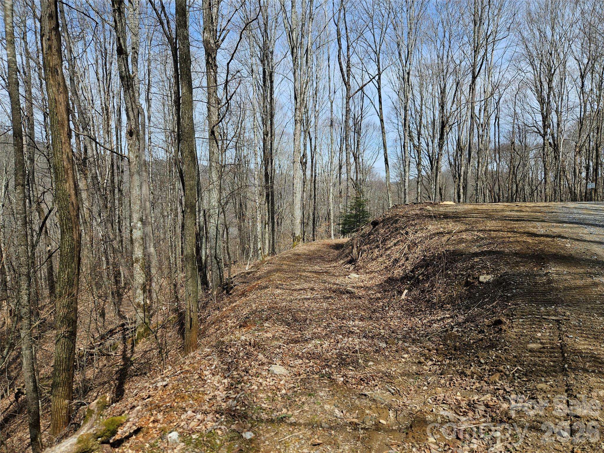 000 Forbidden CV, Waynesville, NC 28785