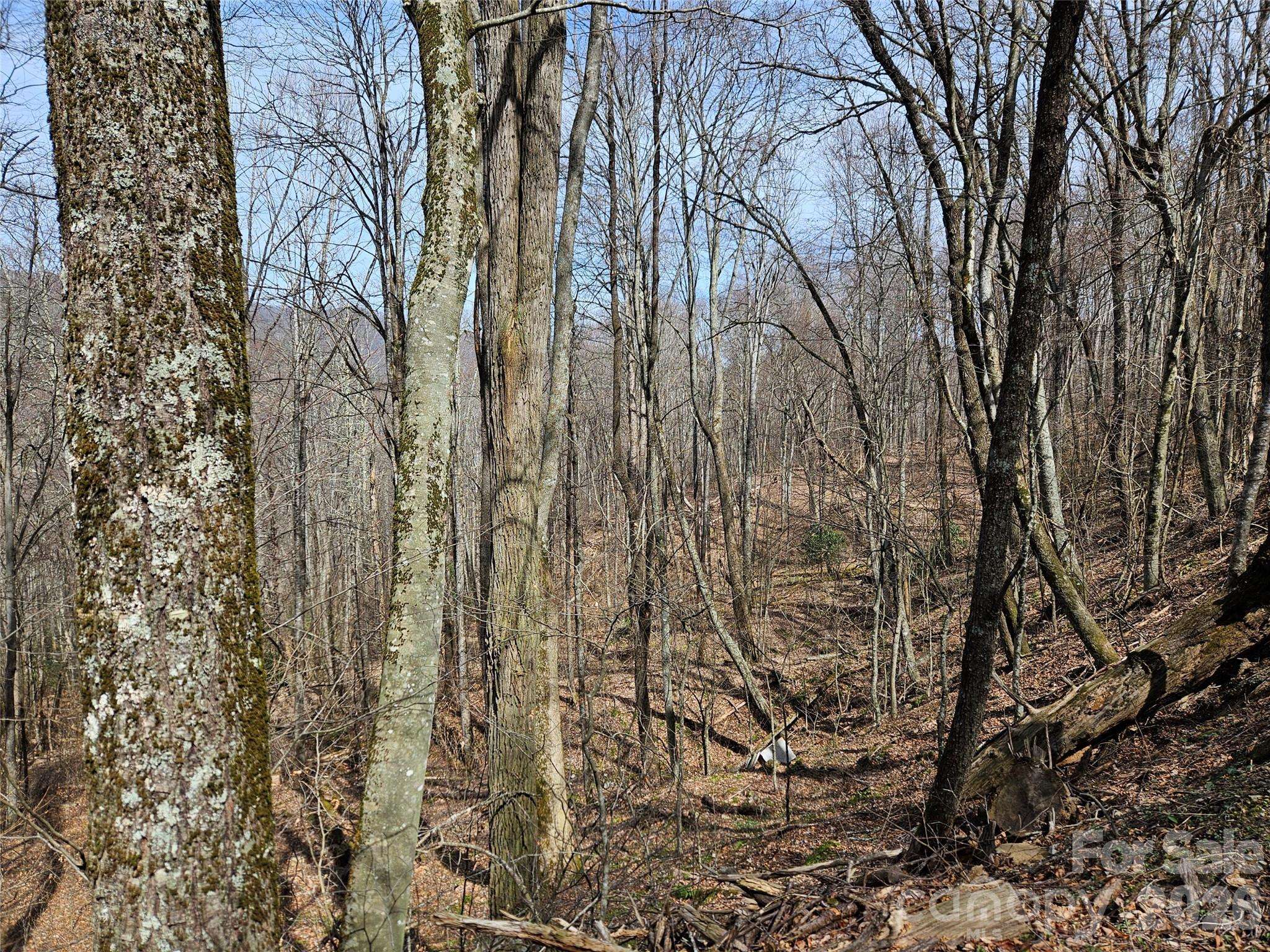 000 Forbidden CV, Waynesville, NC 28785