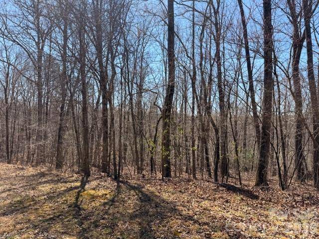 659 Bent Creek DR #35, Nebo, NC 28761