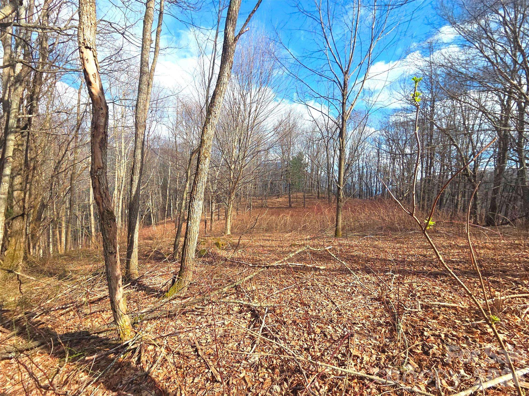 250 Rome Beauty RD #TR5, Waynesville, NC 28785
